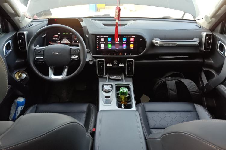 Used Haval DARGO 2024 2.0T DCT Chinese Rural Dog Edition