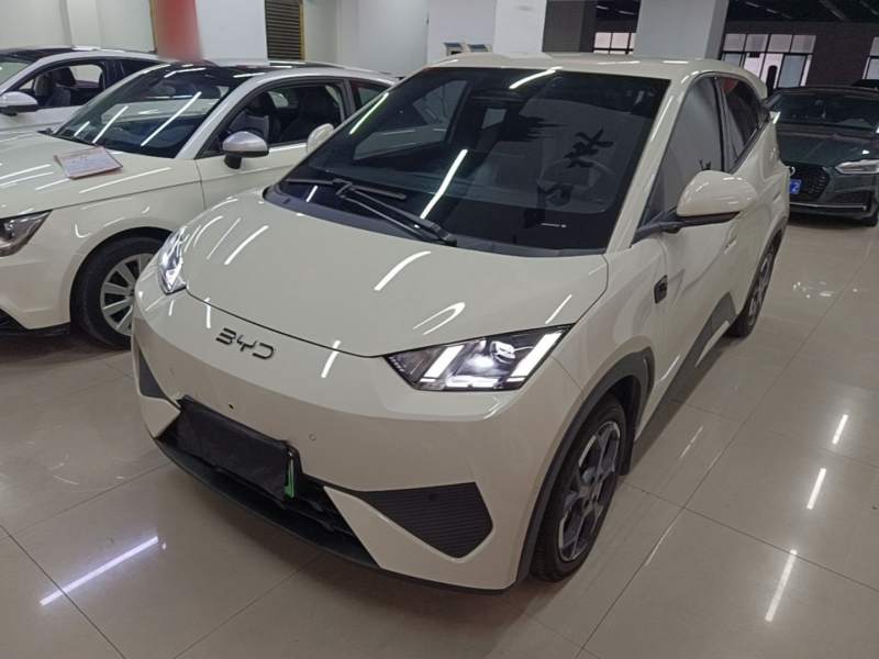 Used BYD Seagull 2023 Free Edition — 1