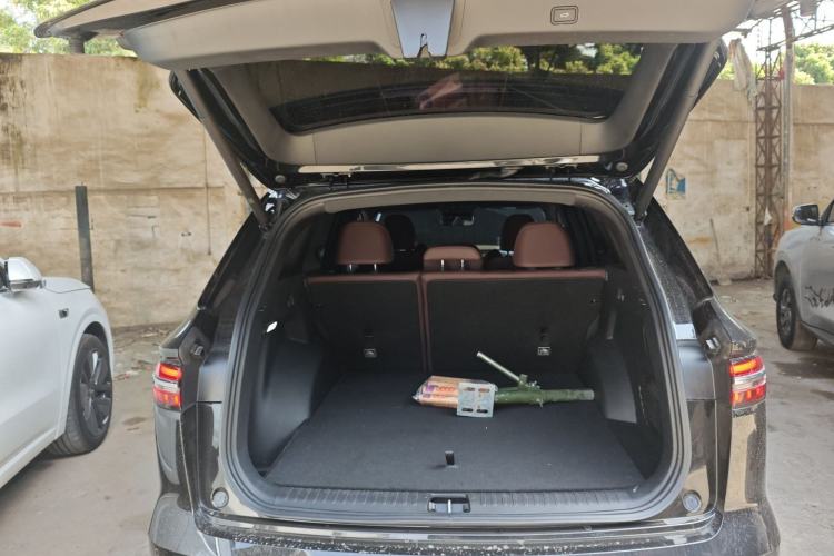 Used Geely Auto Monjaro L 2024 2.0TD High-Power Automatic Two-Wheel Drive Skyline Edition
