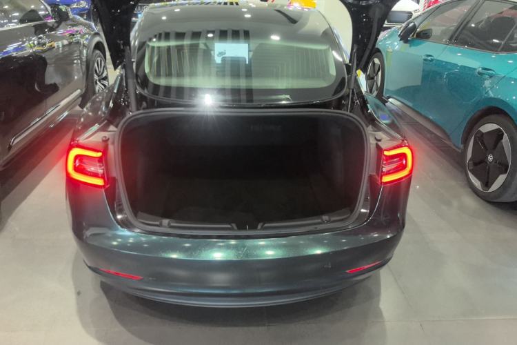 Used Tesla Model 3 2021 Performance High-Performance All-Wheel-Drive Version
