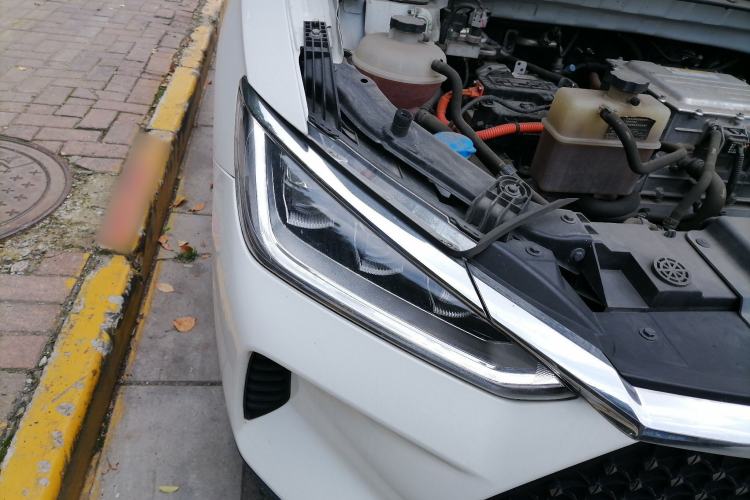 Used BYD e2 2021 Luxury Model
