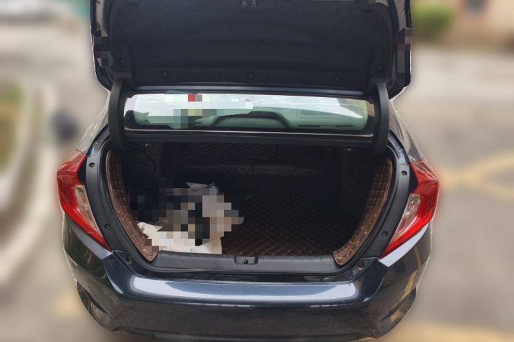 Used Honda Civic 2016 220TURBO CVT Luxury Edition
