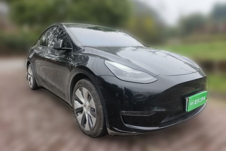 Used Tesla Model Y 2021 Standard Range Rear-Wheel Drive Version
