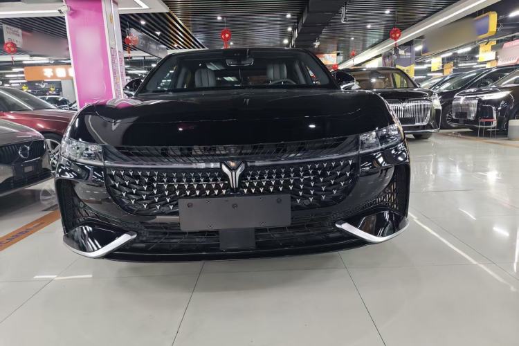 Used VOYAH PASSION 2024 PHEV Four-Wheel Drive Ultra-Long Range Flagship Model Exterior 4