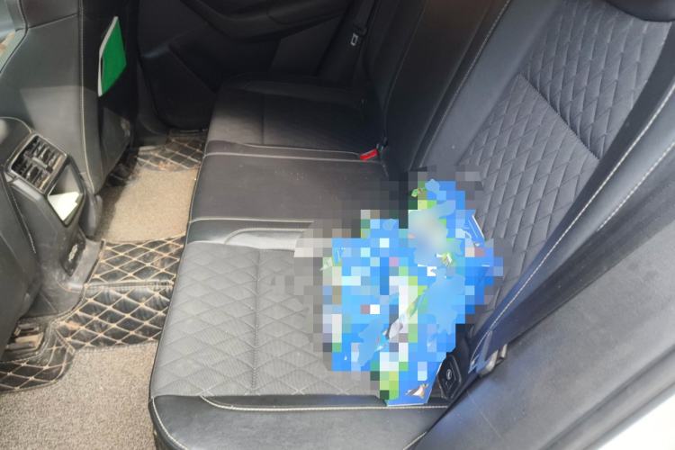 Used Skoda Karoq 2018 TSI280 Luxury Edition China V Standard Left Rear Seat