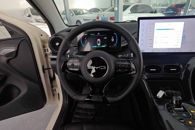 Used BYD e2 2023 Luxury Model