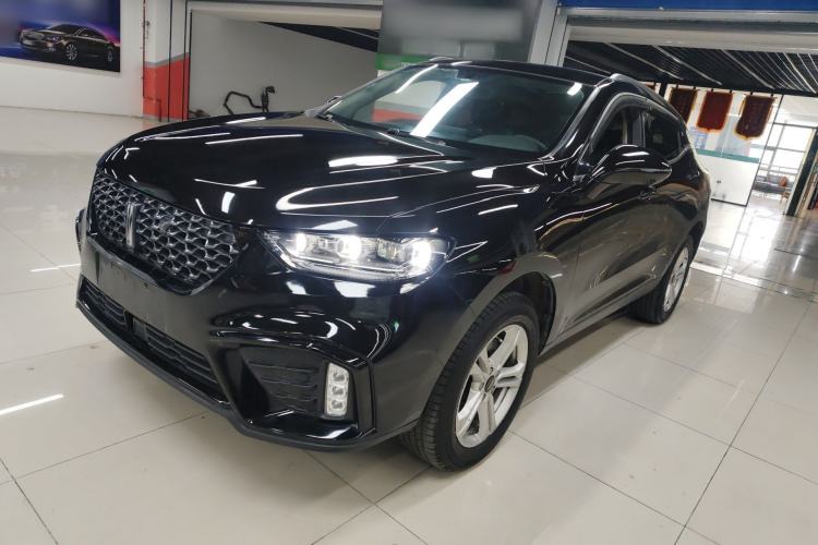 Used Wey VV5 2020 1.5T Two-Wheel Drive Color Pioneer