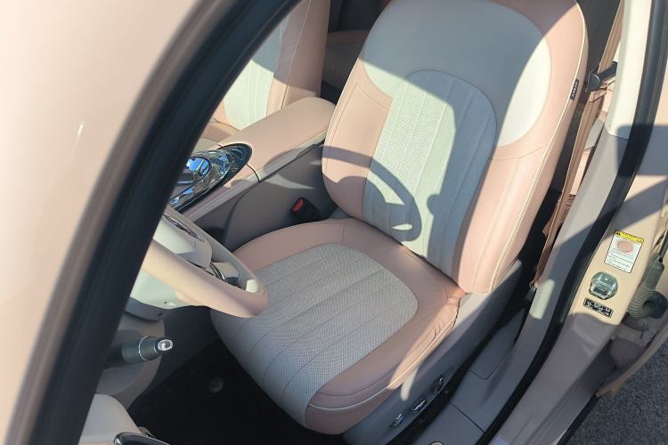 Used ORA Ballet Cat 2022 401 km Nutcracker Edition