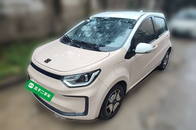 Used SOL E10X 2022 Flower Fairy Style Baby's Breath