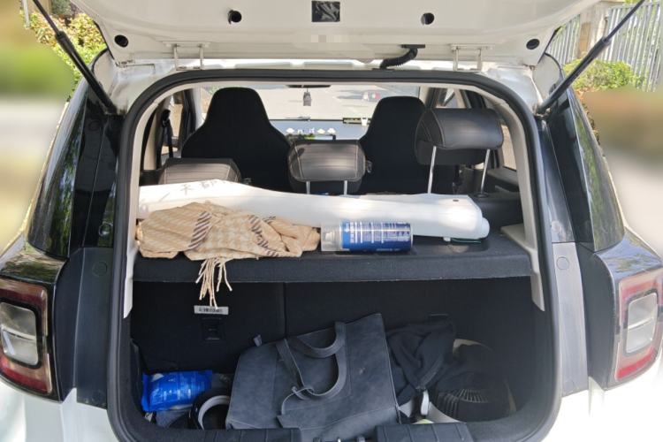 Used SOL E10X 2022 Flower Fairy Design Four-Leaf Clover