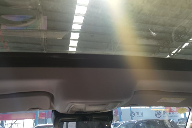 Used Tank 300 2025 2.0T Conqueror
