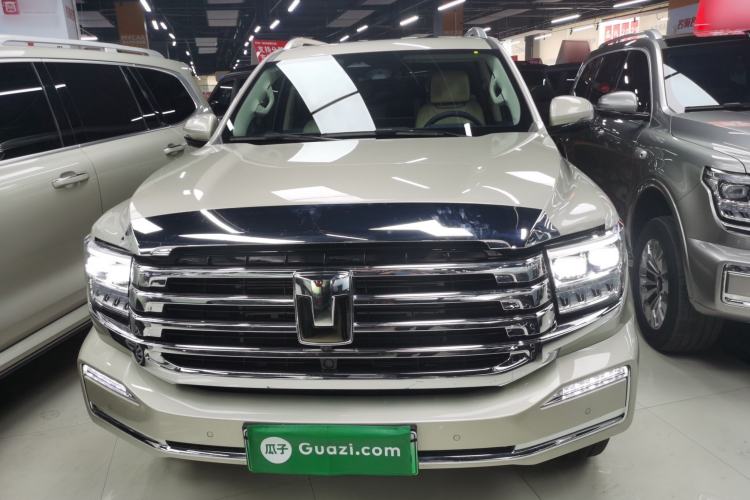 Used Tank 500 New Energy 2026 Model—Hi4-T Standard Version