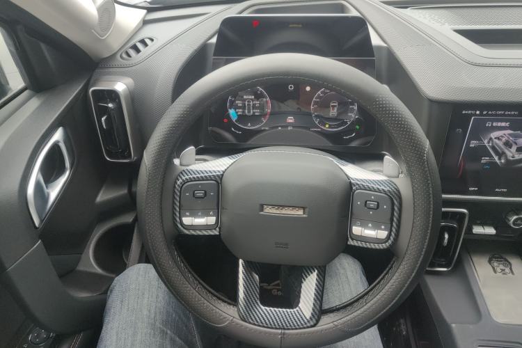 Used Haval DARGO 2024 2.0T DCT Chinese Rural Dog Edition Steering Wheel