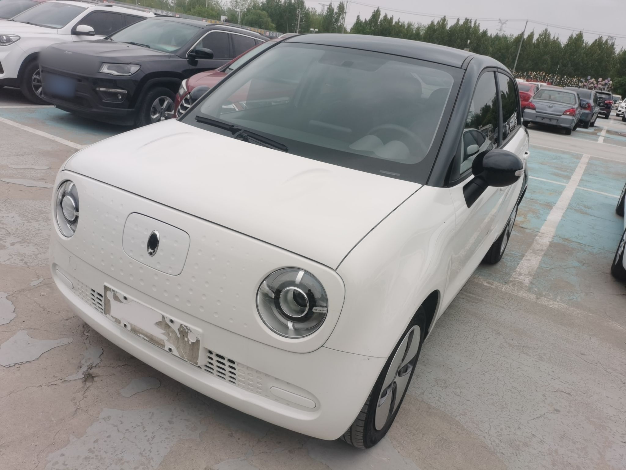 تحت مقدمة السيارة