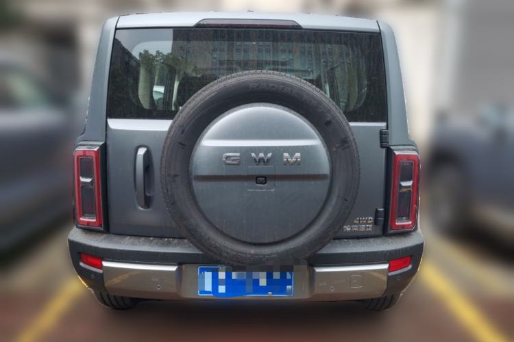 Used Haval Raptor 2025 2.0T 4WD Pro
