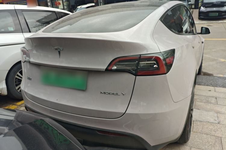 Used Tesla Model Y 2021 Standard Range Rear-Wheel Drive Version Rear