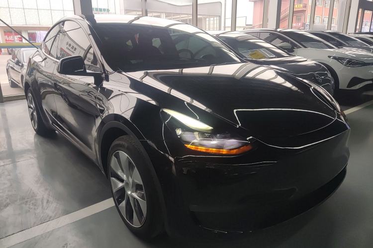 Used Tesla Model Y 2021 Standard Range Rear-Wheel Drive Version
