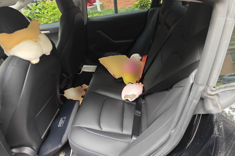 Used Tesla Model 3 2021 Revised Version Standard Range Rear-Wheel Drive Upgraded Edition 3D1
