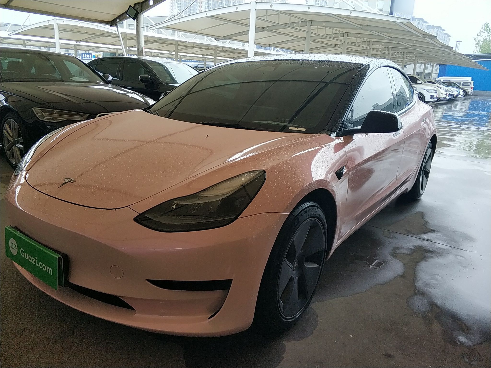 Parte inferior delantera