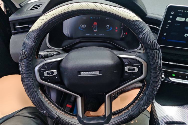 Used Haval LHERY 2022 Jingxiang Edition 1.5T Copper Rabbit
