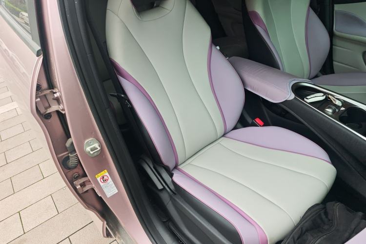 Used BYD Dolphin 2021 405 km Fashion Edition Right Front Seat