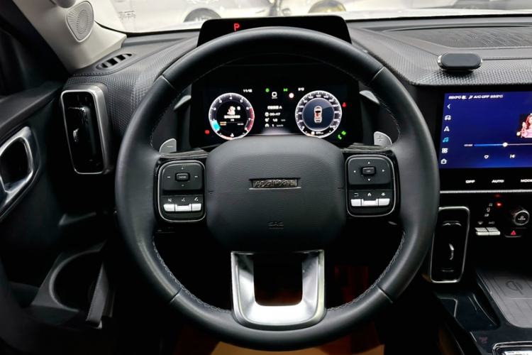 Used Haval DARGO 2021 Revised Version 2.0T DCT Four-Wheel Drive "Hao Tian Que" Edition
