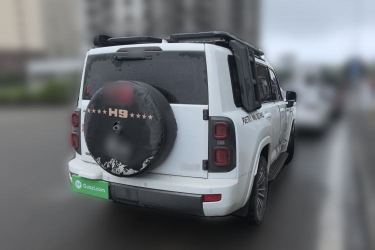 Used Haval H9 2024 2.0T Gasoline 4x4 Territory Edition Rear Right 45 Deg