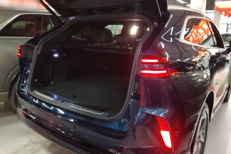 Used Wey Mocha New Energy 2024 Hi4 Four-Wheel Drive Long-Range Version