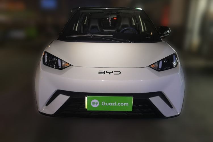 Used BYD Seagull 2025 305 km Free Version