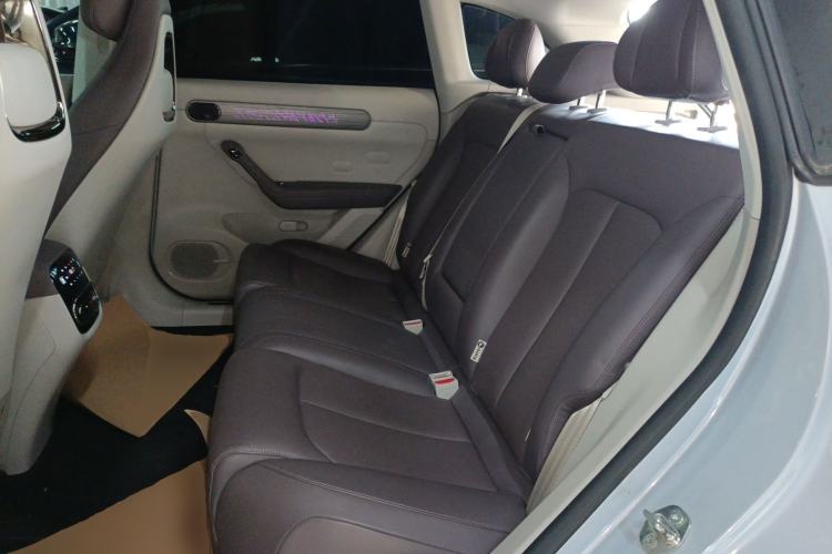 Used Leapmotor C11 2023 Pure Electric 500 Smart Edition
