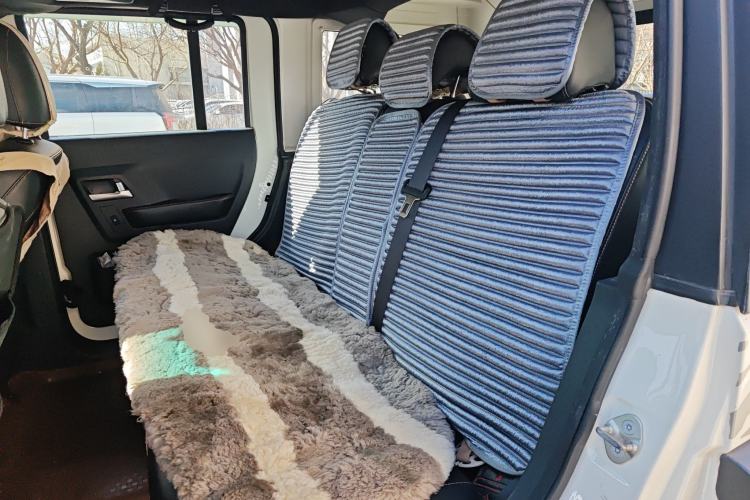 Used BAIC Off-Road BJ40 2016 40L 2.3T Automatic All-Wheel Drive Premium Edition Left Rear Seat