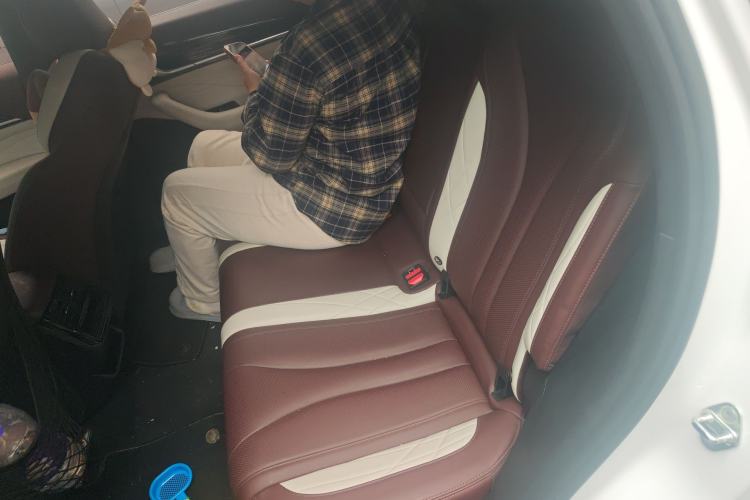 Used Geely Auto Monjaro L 2021 2.0TD DCT EVO Two-Wheel Drive Prestige Version Left Rear Seat