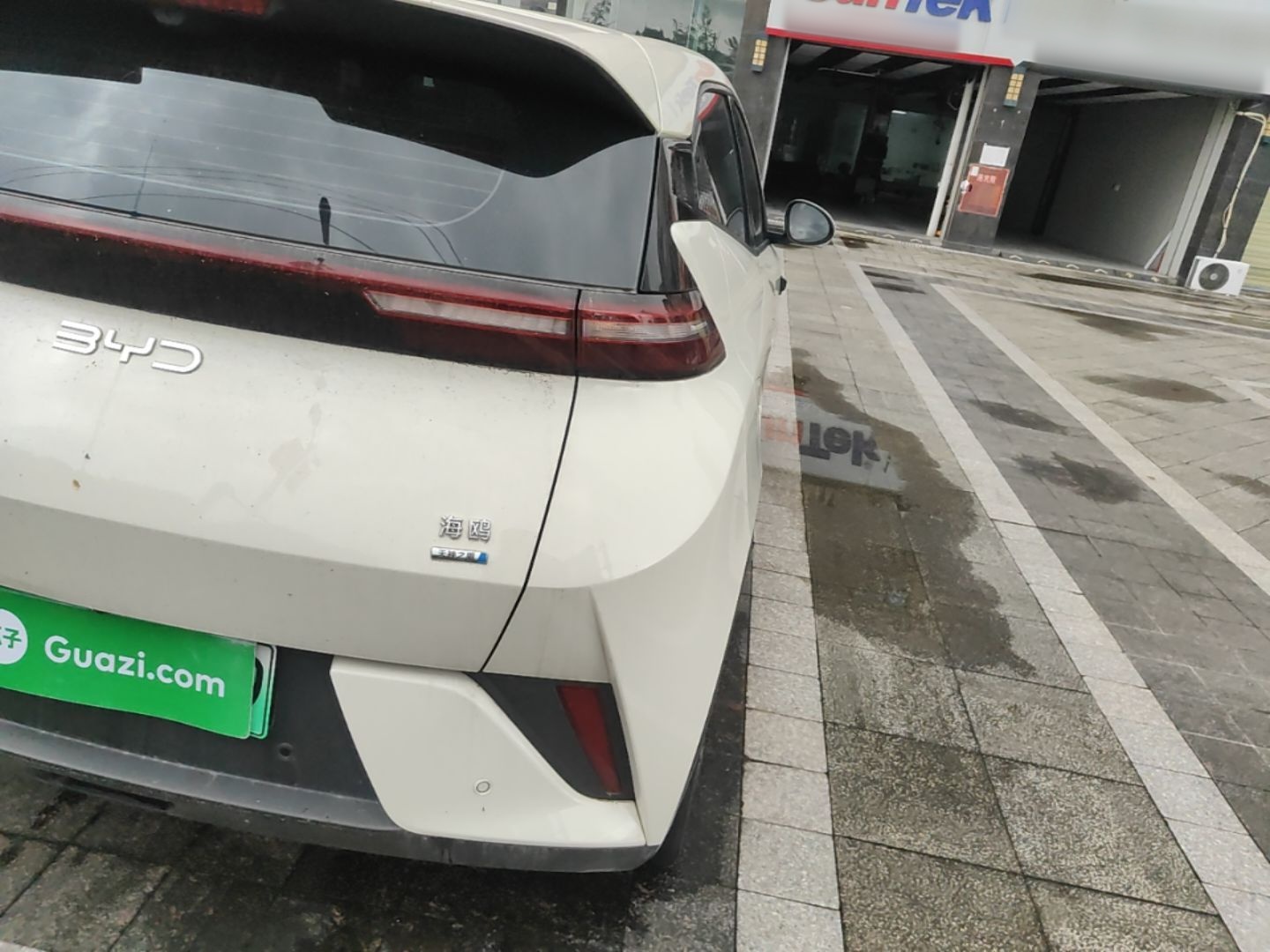 BYD Seagull 2025 Smart Drive Version 305 km Freedom Edition — снимка 9