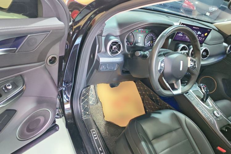 Used Wey VV5 2020 1.5T Two-Wheel Drive Color Pioneer