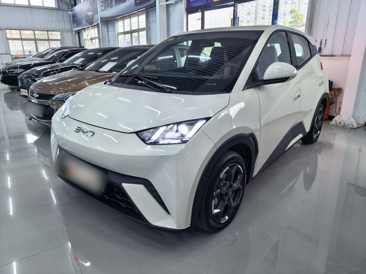 Parte inferior delantera