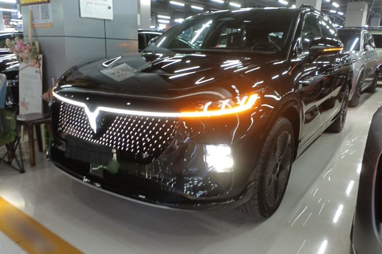 Used VOYAH COURAGE 2024 Four-Wheel Drive Global Edition