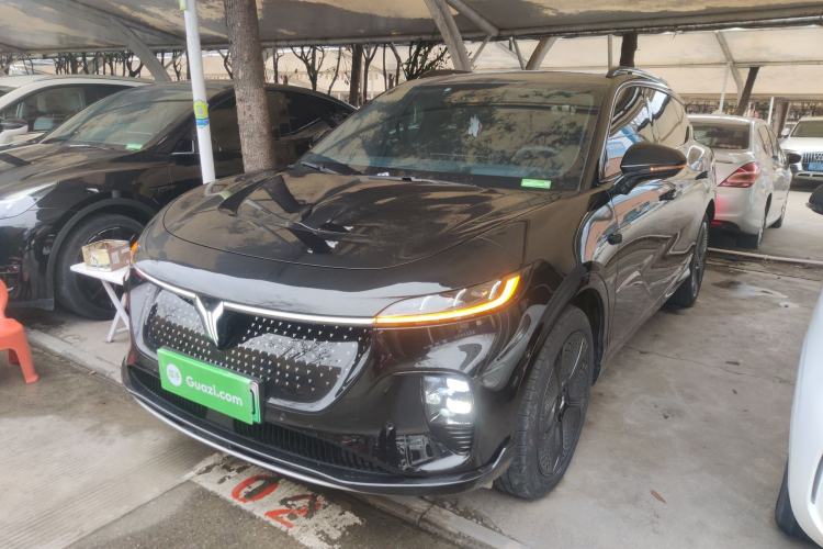 Used VOYAH COURAGE 2024 Four-Wheel Drive Global Edition
