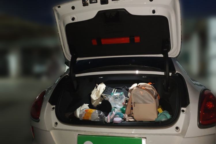 Used ORA Lightning Cat 2022 555 km Luxury Edition