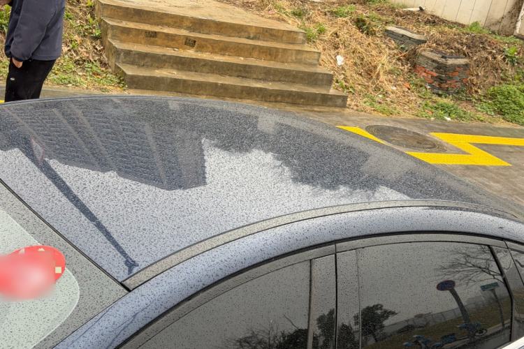 Used BYD Qin PLUS 2023 Champion Edition DM-i 55KM Leading Model