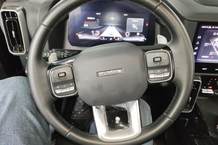 Used Haval DARGO 2022 2.0T DCT 4x4 Chinese Rural Dog Edition Steering Wheel