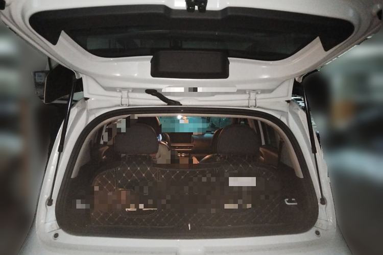 Used ORA White Cat 2022 Xiaoyue Mao Edition 360 km Luxury Model Lithium NMC