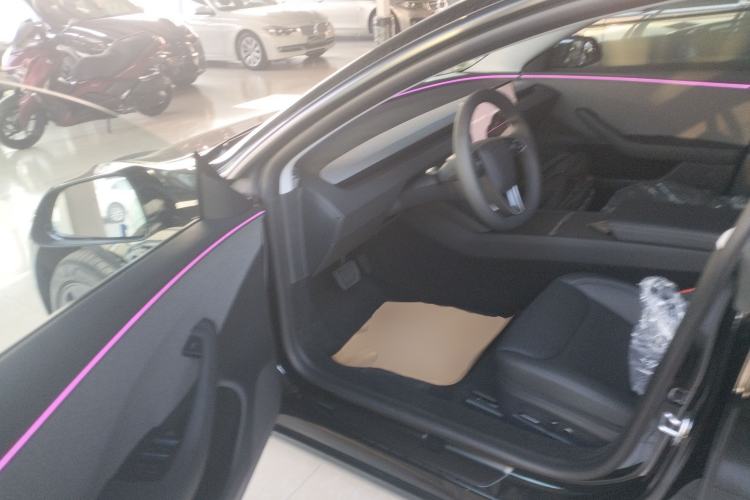 Used Tesla Model 3 2025 Model Revised Rear-Wheel-Drive Version Driver Seat