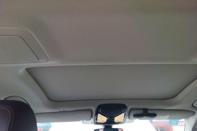 Used BMW 5 Series New Energy 2020 530Le Luxury Package
