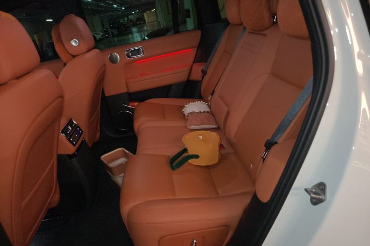 Used Li Auto L6 2024 Max Left Rear Seat