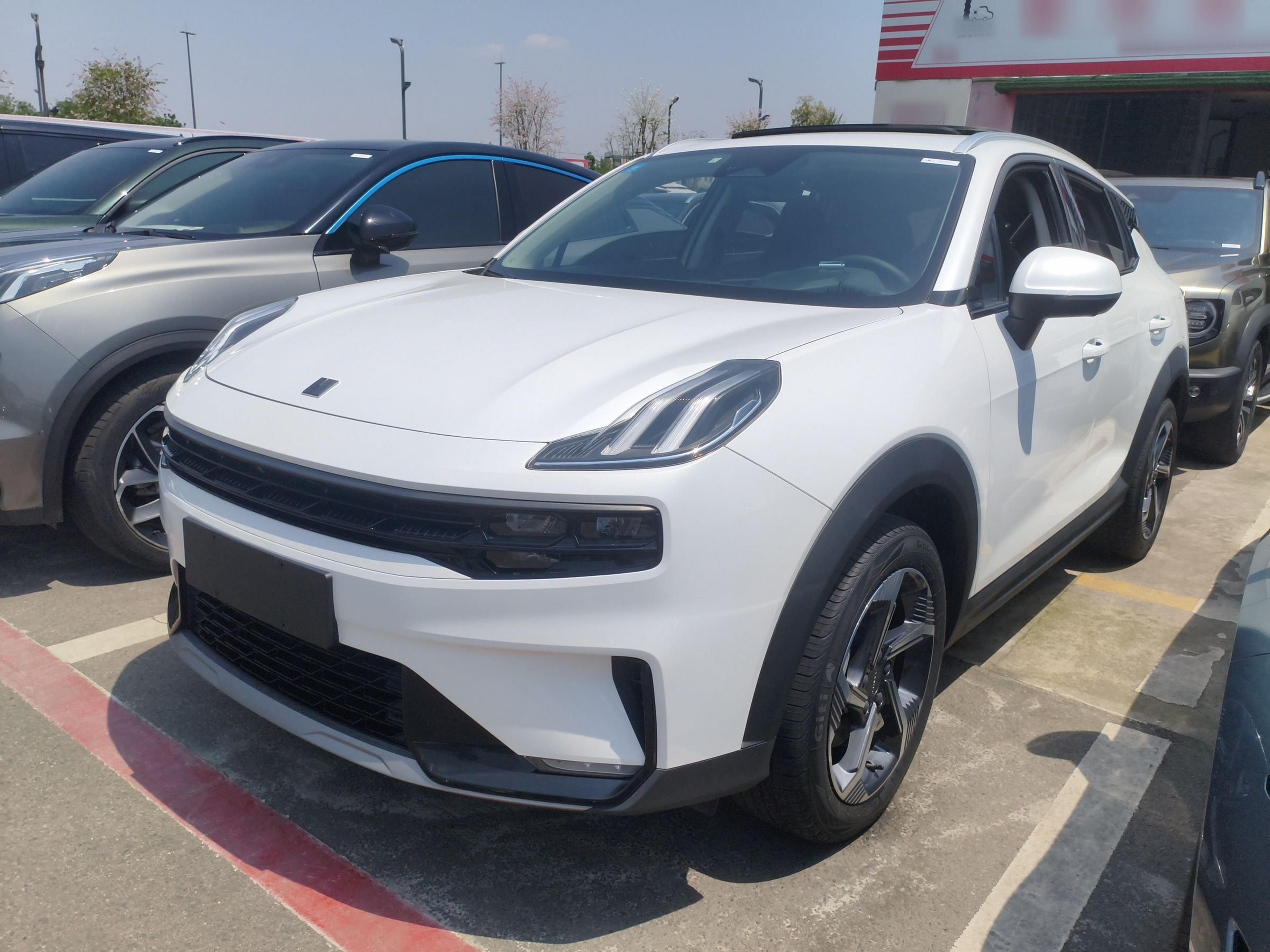 Parte inferior delantera