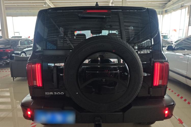 Used Tank 300 2024 2.0T Challenger
