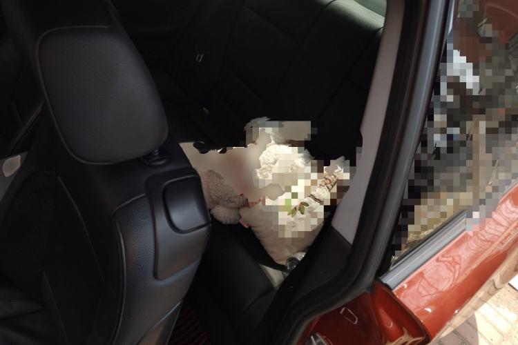 Used BMW 1 Series 2011 120i two-door coupe