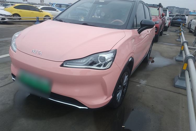 Used NETA V 2021 Long-Range Industry Custom Edition