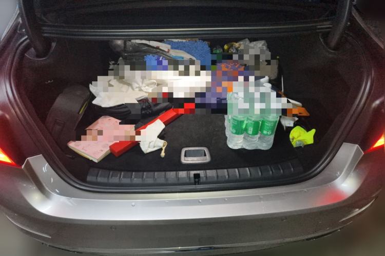 Used BMW 5 Series New Energy 2019 530Le Luxury Package
