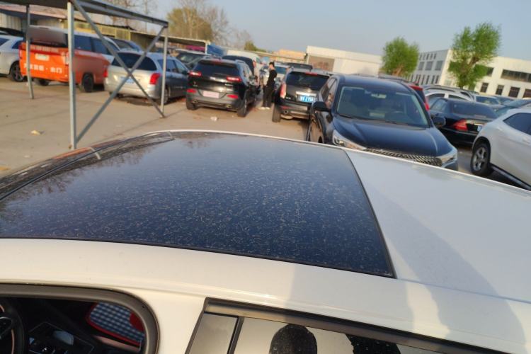 Used Volkswagen Golf 2024 280TSI DSG Pro Enjoyment Edition
